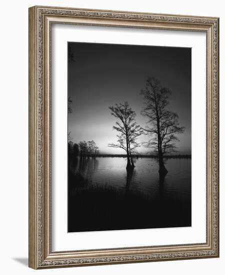 Trees Reflected in Water, Reelfoot National Wildlife Refuge, Tennessee, USA-Adam Jones-Framed Photographic Print