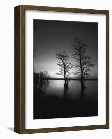 Trees Reflected in Water, Reelfoot National Wildlife Refuge, Tennessee, USA-Adam Jones-Framed Photographic Print