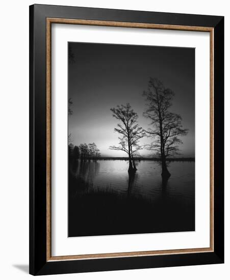 Trees Reflected in Water, Reelfoot National Wildlife Refuge, Tennessee, USA-Adam Jones-Framed Photographic Print