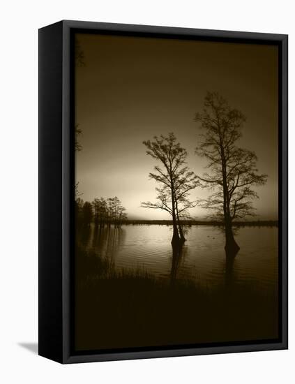Trees Reflected in Water, Reelfoot National Wildlife Refuge, Tennessee, USA-Adam Jones-Framed Premier Image Canvas