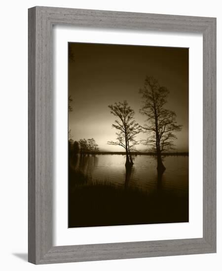 Trees Reflected in Water, Reelfoot National Wildlife Refuge, Tennessee, USA-Adam Jones-Framed Photographic Print