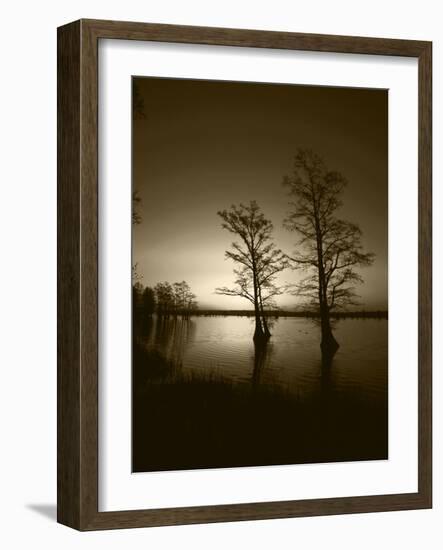 Trees Reflected in Water, Reelfoot National Wildlife Refuge, Tennessee, USA-Adam Jones-Framed Photographic Print