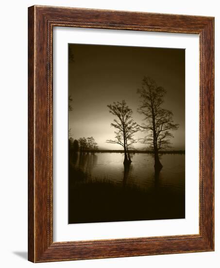 Trees Reflected in Water, Reelfoot National Wildlife Refuge, Tennessee, USA-Adam Jones-Framed Photographic Print