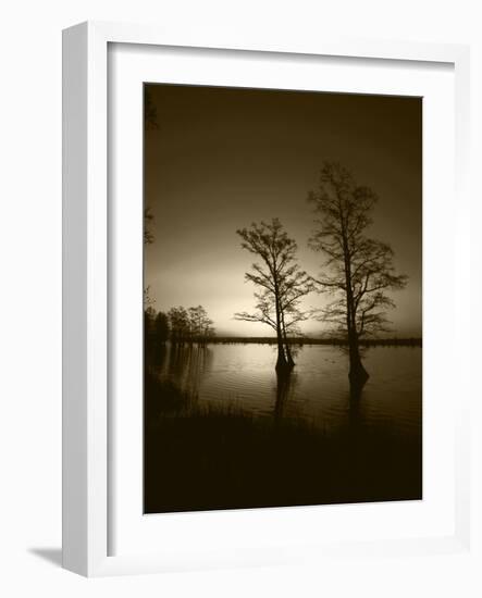 Trees Reflected in Water, Reelfoot National Wildlife Refuge, Tennessee, USA-Adam Jones-Framed Photographic Print