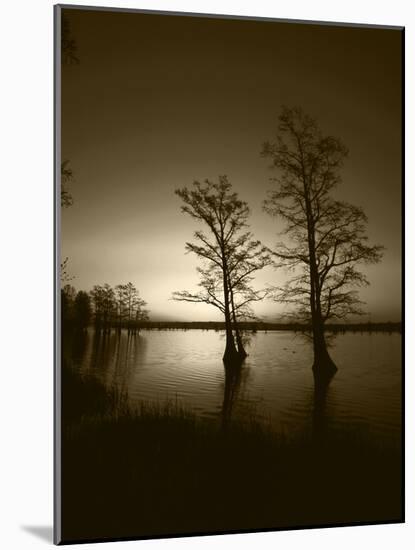 Trees Reflected in Water, Reelfoot National Wildlife Refuge, Tennessee, USA-Adam Jones-Mounted Photographic Print