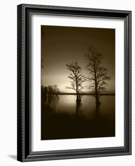 Trees Reflected in Water, Reelfoot National Wildlife Refuge, Tennessee, USA-Adam Jones-Framed Photographic Print