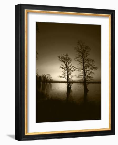 Trees Reflected in Water, Reelfoot National Wildlife Refuge, Tennessee, USA-Adam Jones-Framed Photographic Print