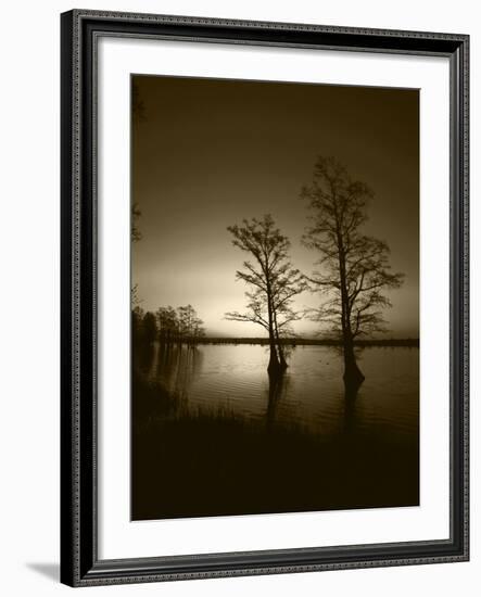 Trees Reflected in Water, Reelfoot National Wildlife Refuge, Tennessee, USA-Adam Jones-Framed Photographic Print