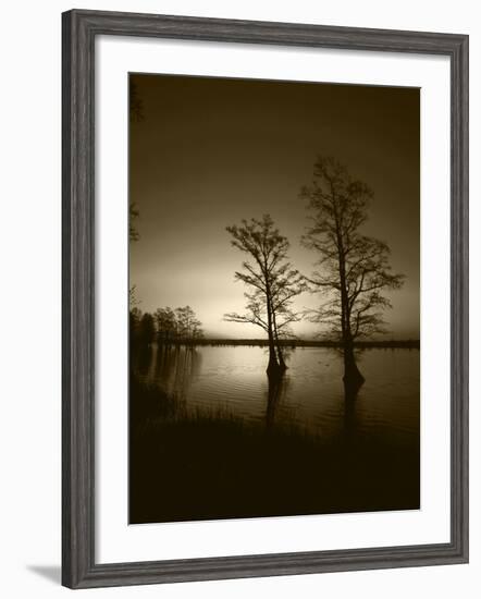 Trees Reflected in Water, Reelfoot National Wildlife Refuge, Tennessee, USA-Adam Jones-Framed Photographic Print