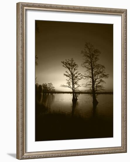 Trees Reflected in Water, Reelfoot National Wildlife Refuge, Tennessee, USA-Adam Jones-Framed Photographic Print