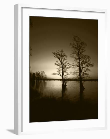 Trees Reflected in Water, Reelfoot National Wildlife Refuge, Tennessee, USA-Adam Jones-Framed Photographic Print