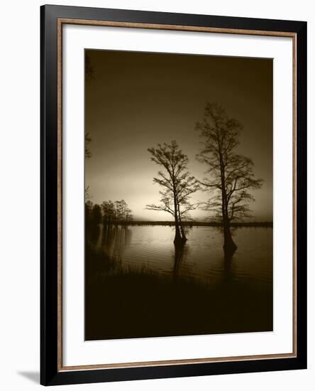 Trees Reflected in Water, Reelfoot National Wildlife Refuge, Tennessee, USA-Adam Jones-Framed Photographic Print