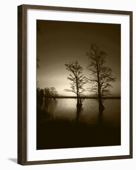 Trees Reflected in Water, Reelfoot National Wildlife Refuge, Tennessee, USA-Adam Jones-Framed Photographic Print