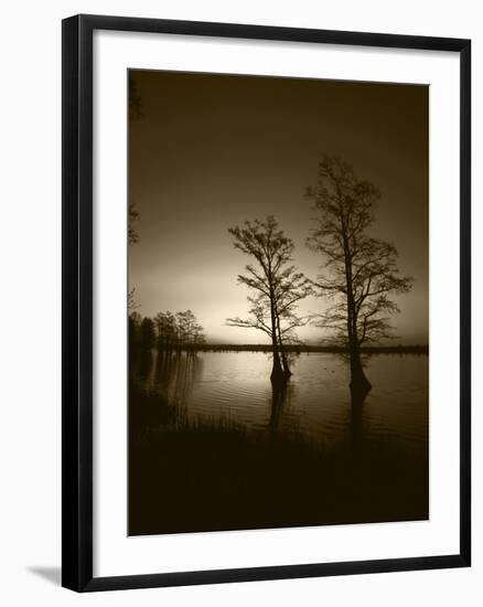 Trees Reflected in Water, Reelfoot National Wildlife Refuge, Tennessee, USA-Adam Jones-Framed Photographic Print