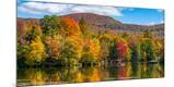 Photographic Print