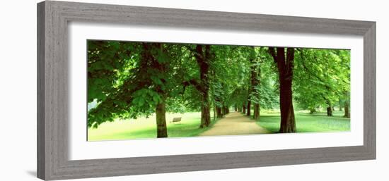 Trees Salzburg Austria-null-Framed Photographic Print