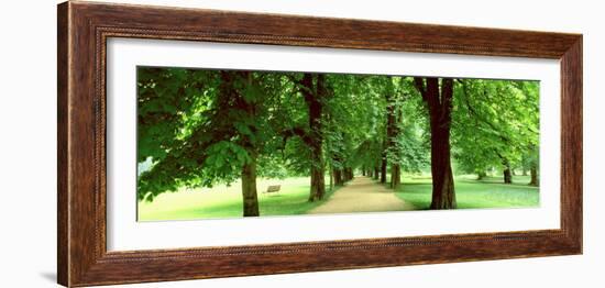 Trees Salzburg Austria-null-Framed Photographic Print