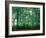 Trees, Shirakawa-Mura, Gifu, Japan-Panoramic Images-Framed Photographic Print