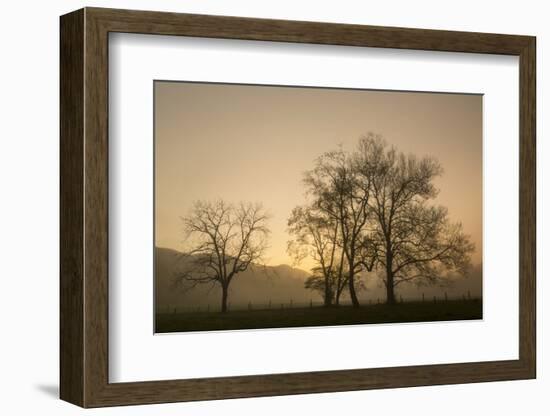 Trees Silhouetted at Sunrise, Cades Cove, Great Smoky Mountains, National Park, Tennessee-Adam Jones-Framed Photographic Print