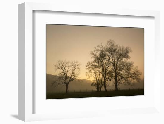 Trees Silhouetted at Sunrise, Cades Cove, Great Smoky Mountains, National Park, Tennessee-Adam Jones-Framed Photographic Print