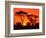 Trees Silhouetted by Dramatic Sunset, South Africa-Claudia Adams-Framed Photographic Print