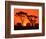 Trees Silhouetted by Dramatic Sunset, South Africa-Claudia Adams-Framed Photographic Print