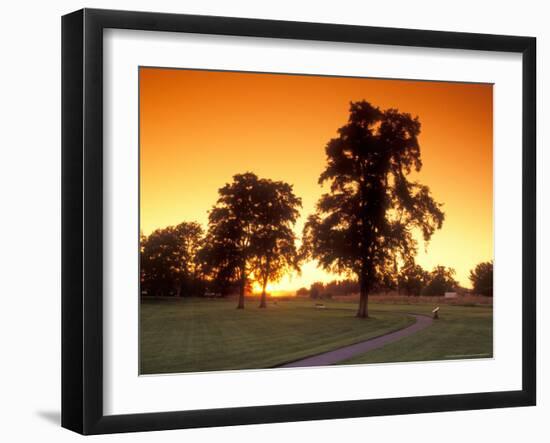 Trees Silhouetted with Path, Walla Walla County, USA-Brent Bergherm-Framed Photographic Print