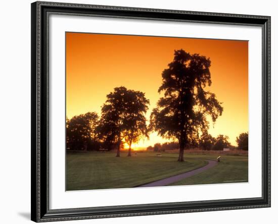 Trees Silhouetted with Path, Walla Walla County, USA-Brent Bergherm-Framed Photographic Print