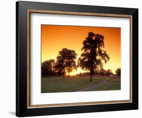 Trees Silhouetted with Path, Walla Walla County, USA-Brent Bergherm-Framed Photographic Print