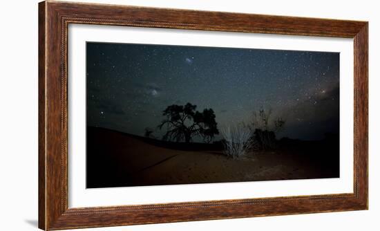 Trees under a Starry Sky at Night Namib-Naukluft National Park-Alex Saberi-Framed Photographic Print