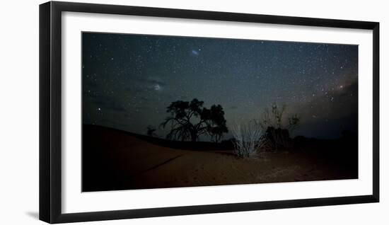 Trees under a Starry Sky at Night Namib-Naukluft National Park-Alex Saberi-Framed Photographic Print