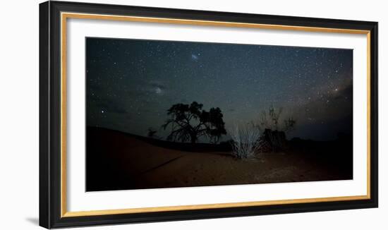 Trees under a Starry Sky at Night Namib-Naukluft National Park-Alex Saberi-Framed Photographic Print