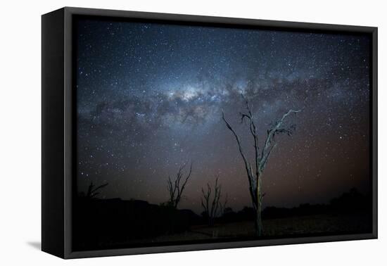 Trees under a Starry Sky, with the Milky Way in the Namib Desert, Namibia-Alex Saberi-Framed Premier Image Canvas