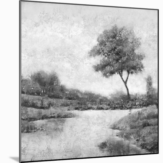 Trees upon the Water IV-Jason Jarava-Mounted Giclee Print