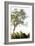 Trees V-Karyn Millet-Framed Photographic Print