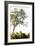 Trees V-Karyn Millet-Framed Photographic Print