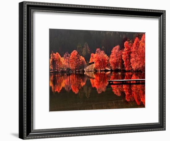 Trees Vs Trees-Philippe Sainte-Laudy-Framed Photographic Print