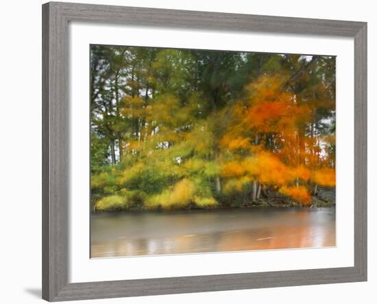 Trees,Water and wind-Moises Levy-Framed Photographic Print