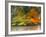Trees,Water and wind-Moises Levy-Framed Photographic Print