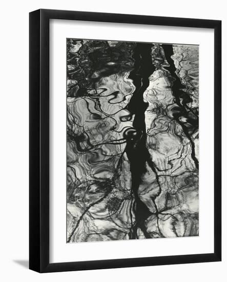 Trees, Water, Reflections, Holland, 1973-Brett Weston-Framed Photographic Print