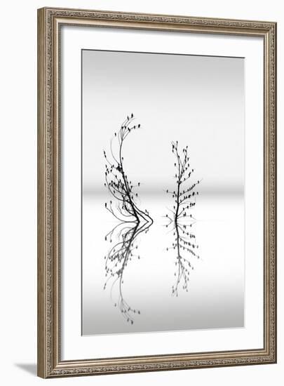 Trees With Birds (2)-George Digalakis-Framed Giclee Print