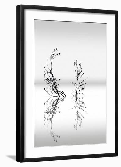 Trees With Birds (2)-George Digalakis-Framed Giclee Print