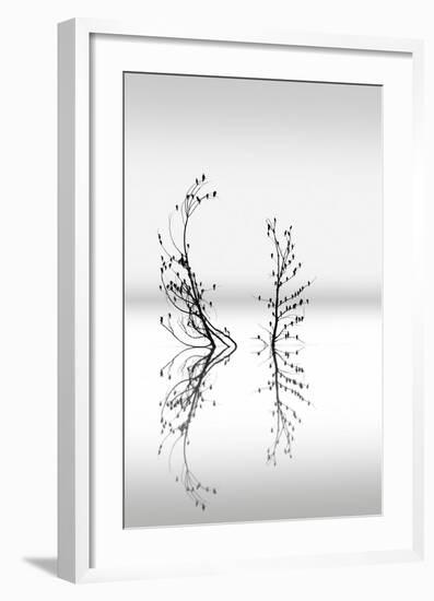 Trees With Birds (2)-George Digalakis-Framed Giclee Print