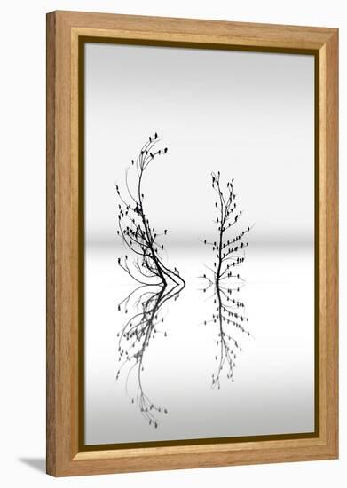 Trees With Birds 2-George Digalakis-Framed Premier Image Canvas