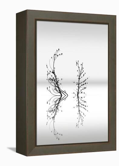 Trees With Birds 2-George Digalakis-Framed Premier Image Canvas