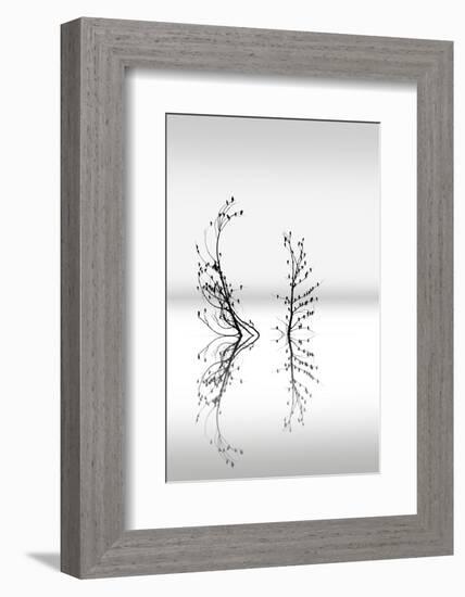 Trees With Birds 2-George Digalakis-Framed Photographic Print