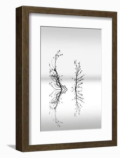 Trees With Birds 2-George Digalakis-Framed Photographic Print