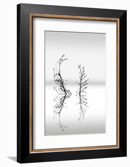 Trees With Birds 2-George Digalakis-Framed Photographic Print