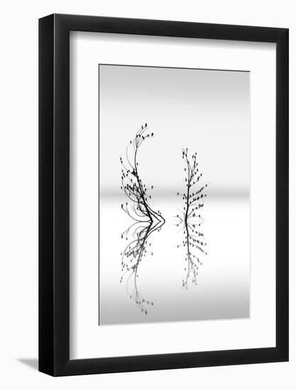 Trees With Birds 2-George Digalakis-Framed Photographic Print