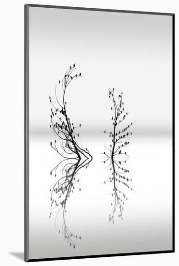 Trees With Birds 2-George Digalakis-Mounted Photographic Print